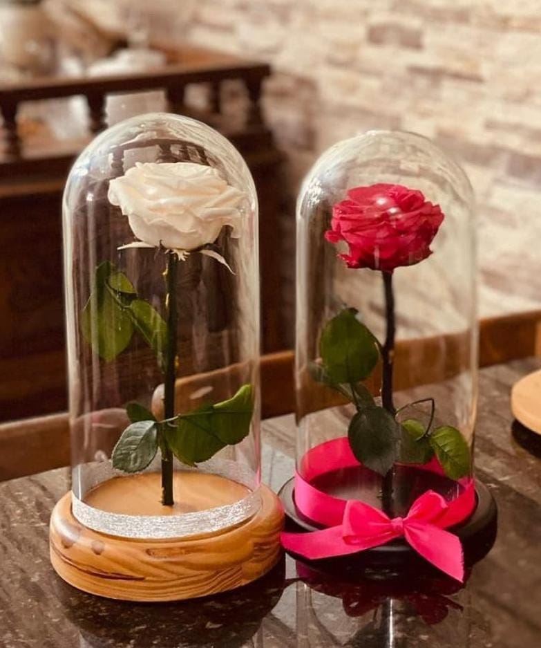 rosa eterna - Flores y Flores de Colombia